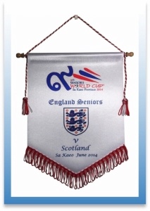 personalised sports pennants image
