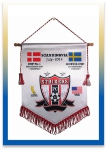 promotional soccer pennants image